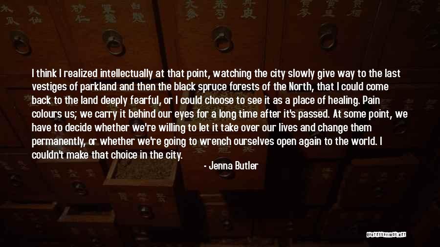 Pain Behind Eyes Quotes By Jenna Butler