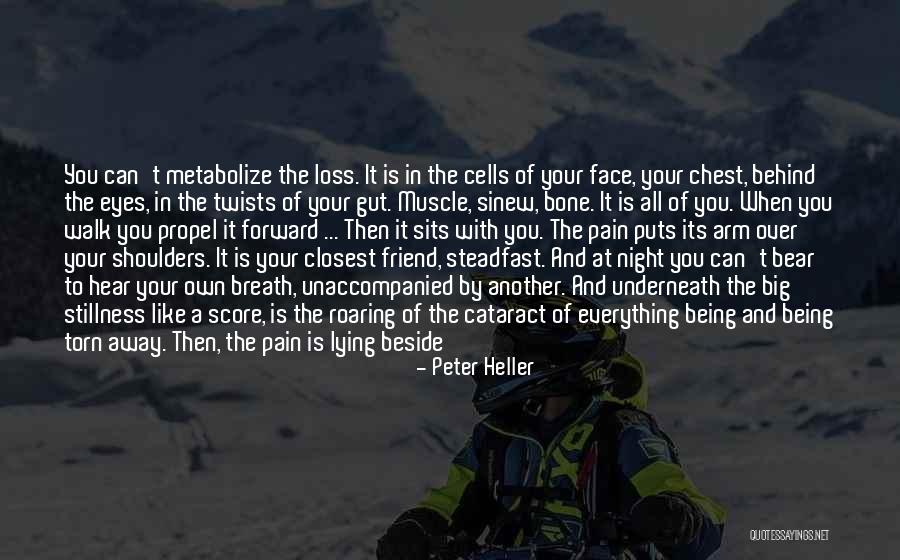 Pain Behind Eyes Quotes By Peter Heller