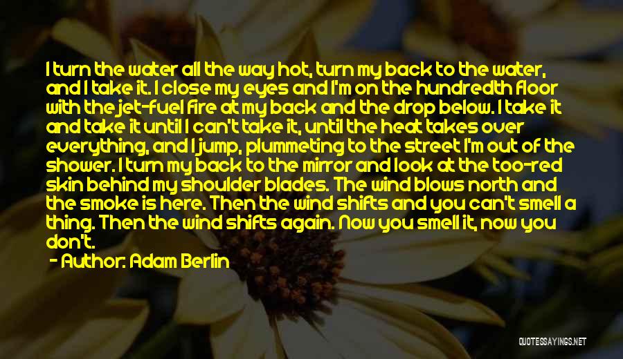 Pain Behind Her Eyes Quotes By Adam Berlin