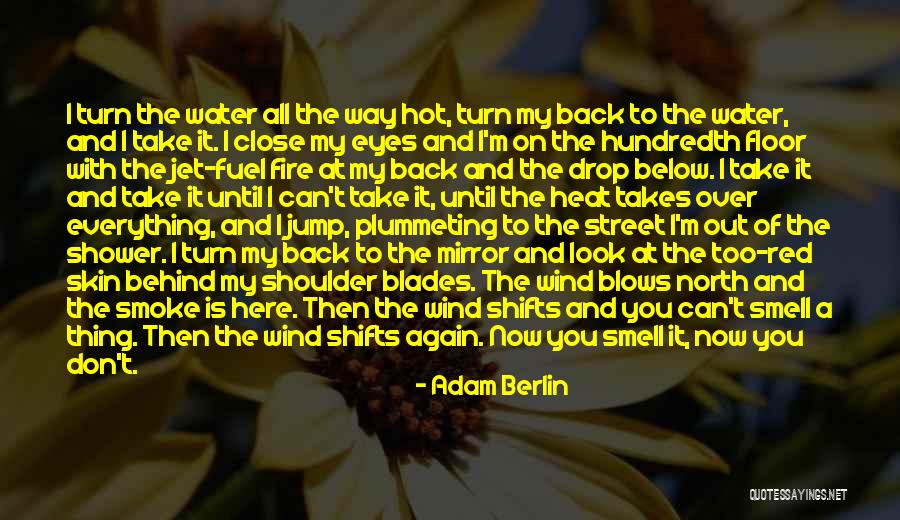 Pain Behind Your Eyes Quotes By Adam Berlin