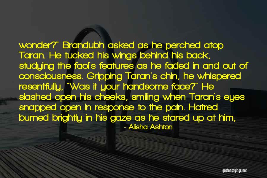 Pain Behind Your Eyes Quotes By Alisha Ashton