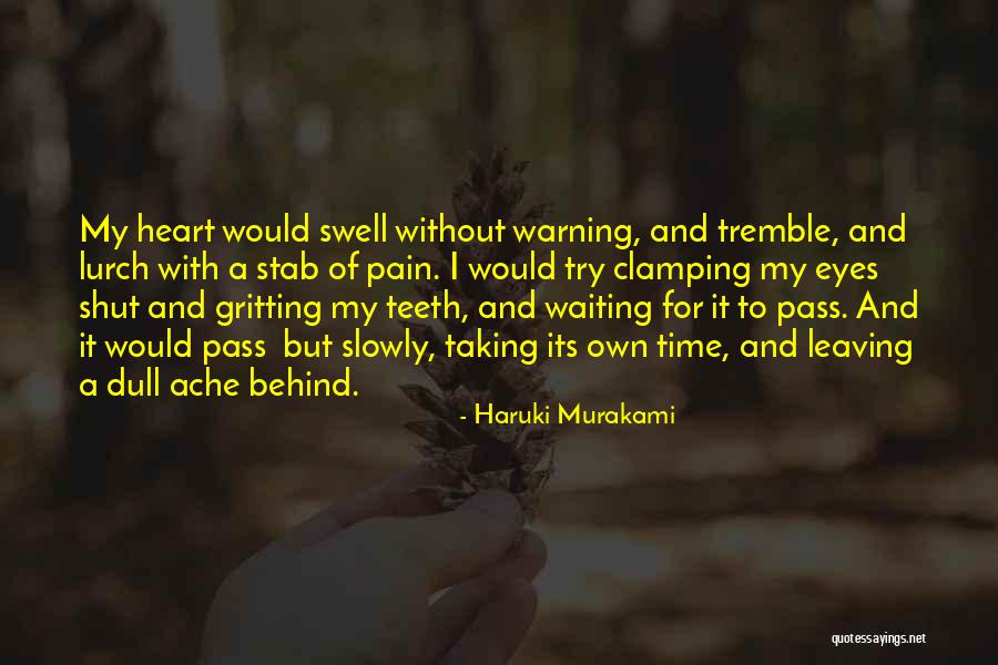 Pain Behind Your Eyes Quotes By Haruki Murakami