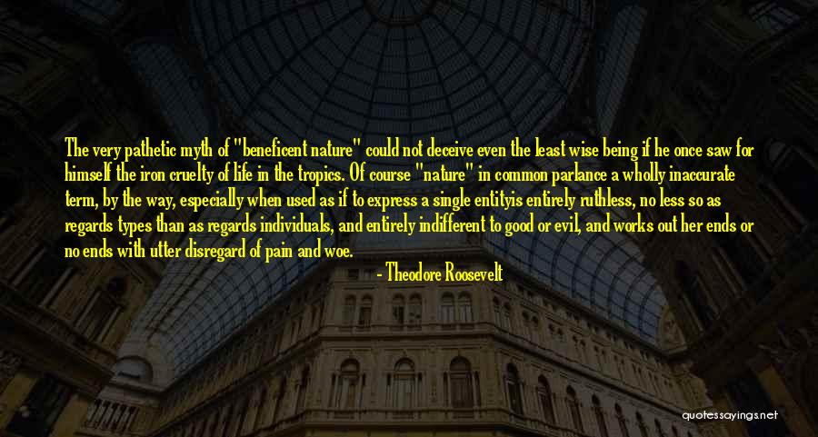 Pain Being Good Quotes By Theodore Roosevelt Pain Being Good Quotes By Theodore Roosevelt