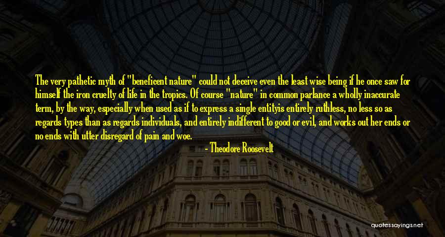 Pain Being Good Quotes By Theodore Roosevelt