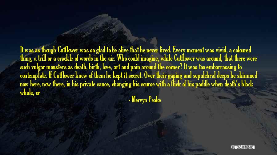 Pain Changing You Quotes By Mervyn Peake