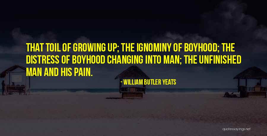 Pain Changing You Quotes By William Butler Yeats