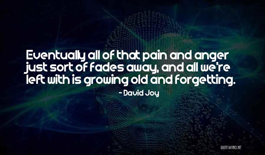 Pain Fades Quotes By David Joy