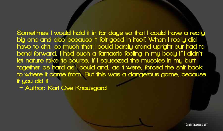 Pain Feeling Good Quotes By Karl Ove Knausgard