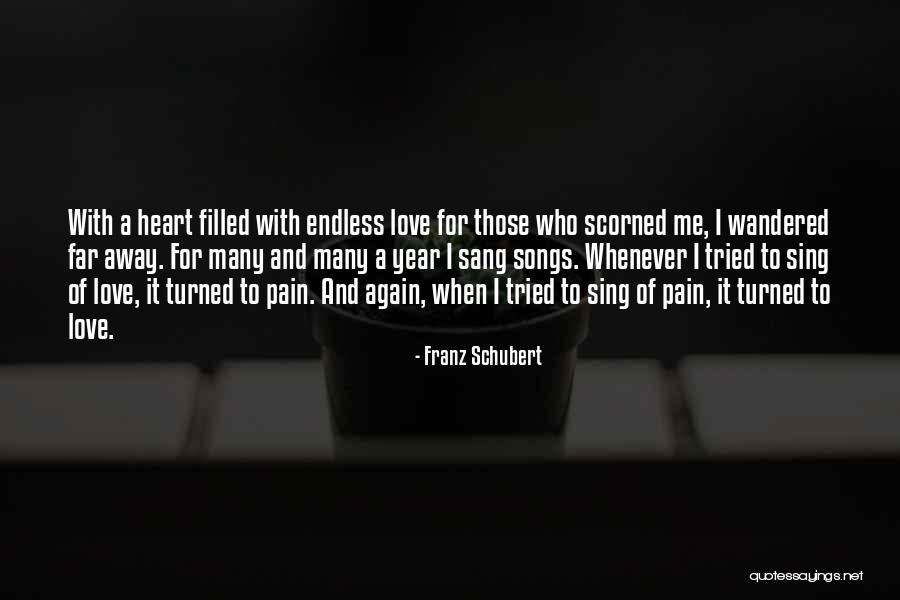 Pain Filled Quotes By Franz Schubert