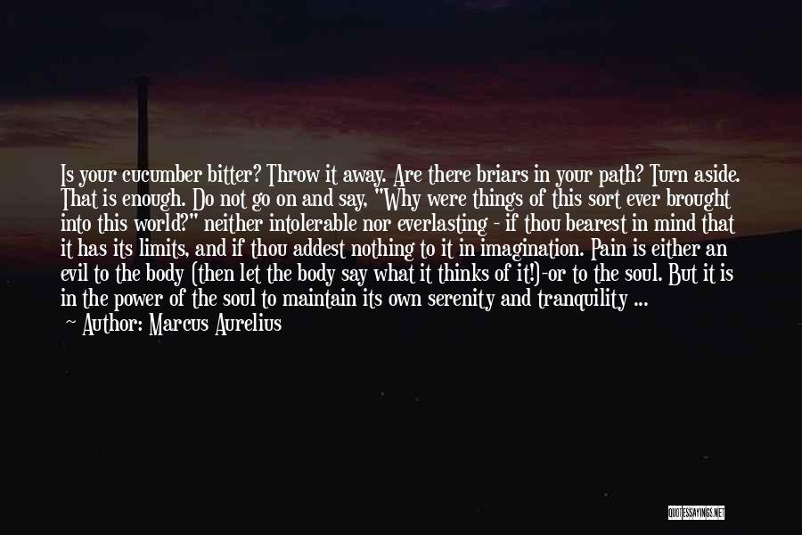 Pain Go Away Quotes By Marcus Aurelius