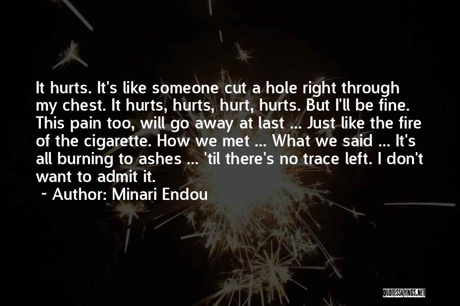 Pain Go Away Quotes By Minari Endou