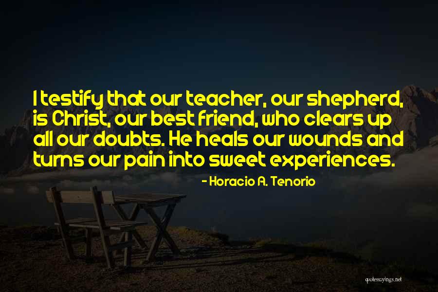 Pain Heals Quotes By Horacio A. Tenorio