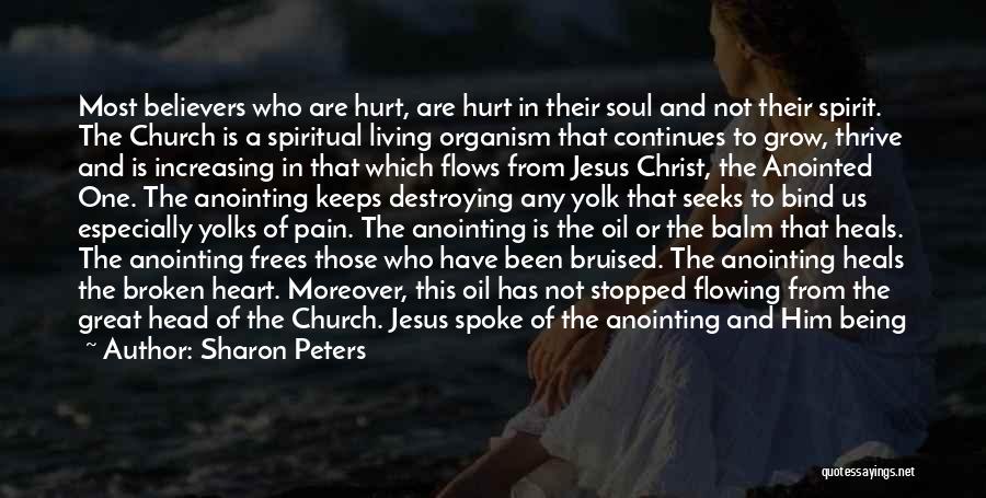 Pain Heals Quotes By Sharon Peters