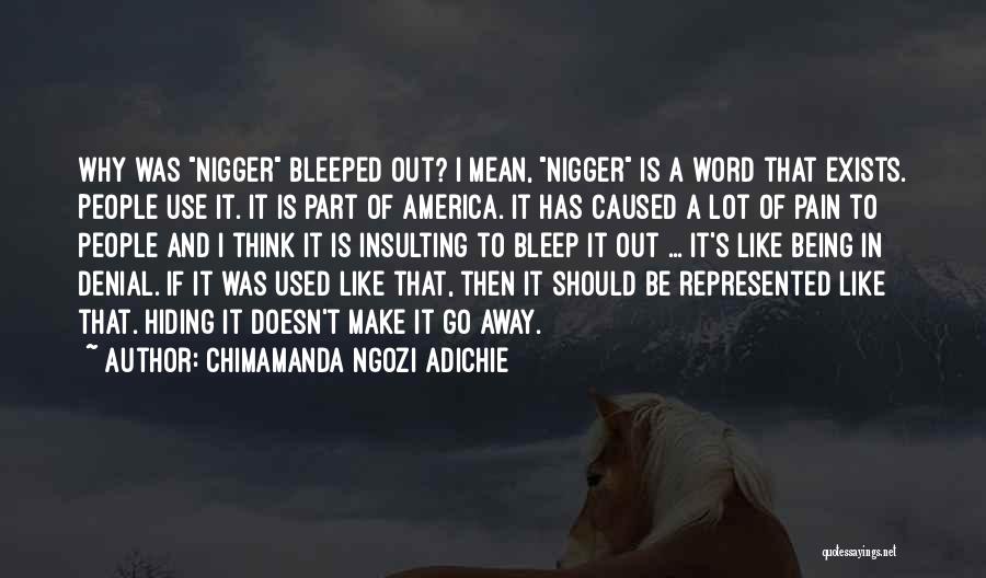 Pain Hiding Quotes By Chimamanda Ngozi Adichie