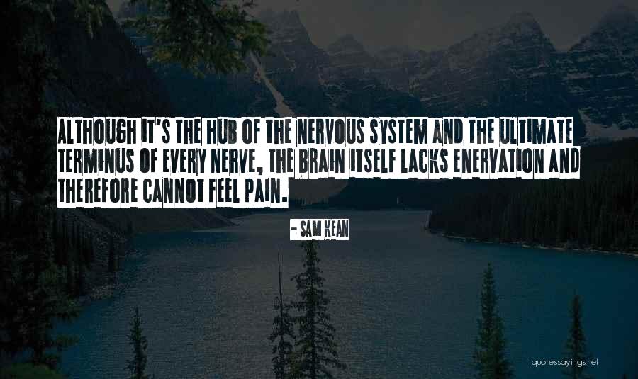 Pain Hub Quotes By Sam Kean