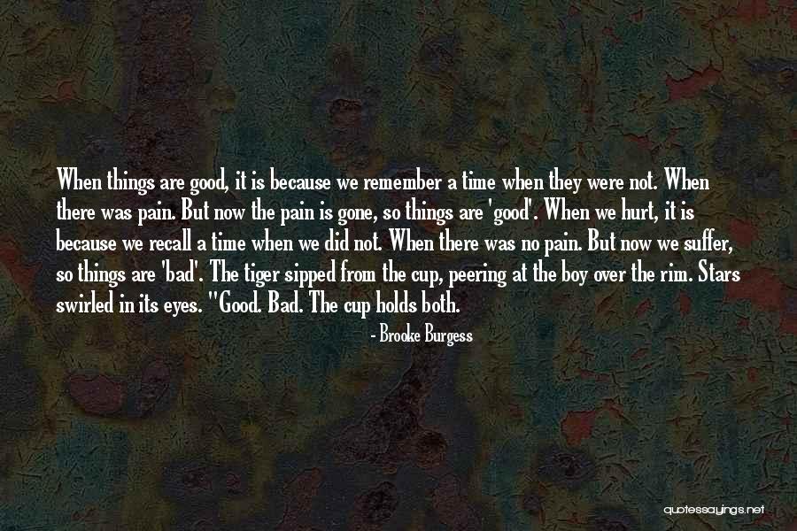 Pain In Eyes Quotes By Brooke Burgess