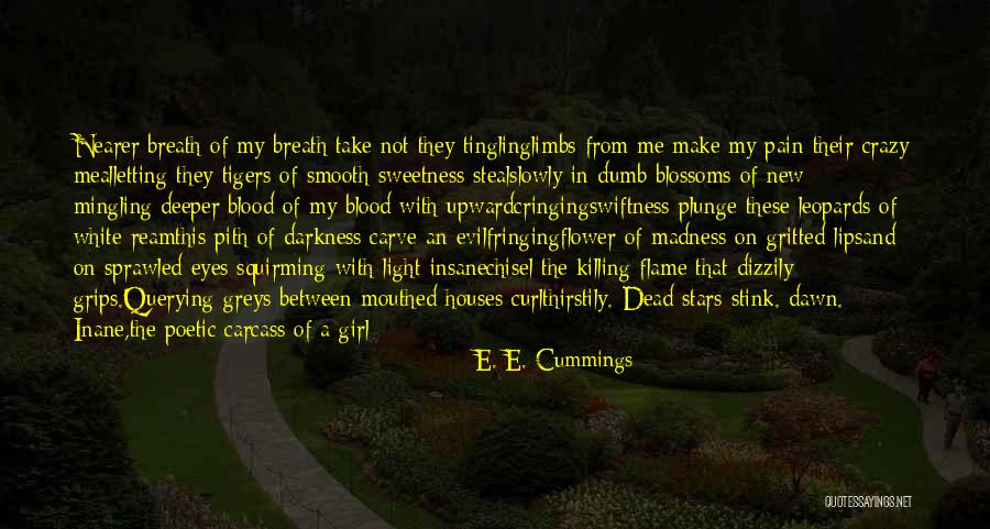 Pain In Eyes Quotes By E. E. Cummings