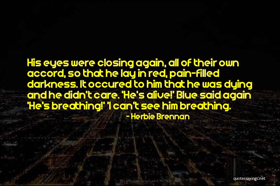 Pain In Eyes Quotes By Herbie Brennan