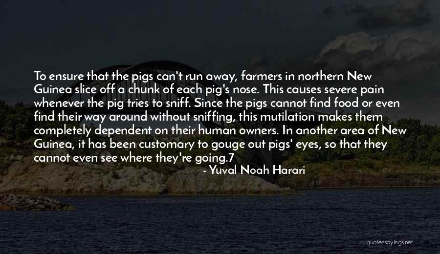 Pain In Eyes Quotes By Yuval Noah Harari