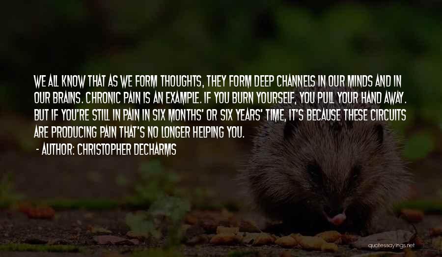 Pain In Hand Quotes By Christopher DeCharms