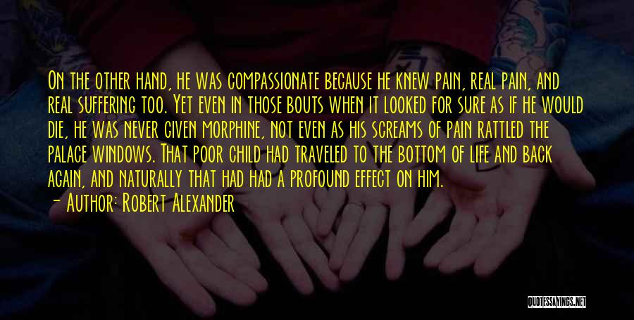 Pain In Hand Quotes By Robert Alexander