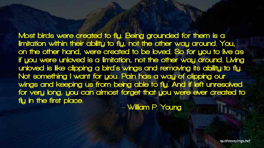 Pain In Hand Quotes By William P. Young