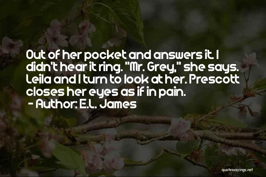 Pain In Her Eyes Quotes By E.L. James