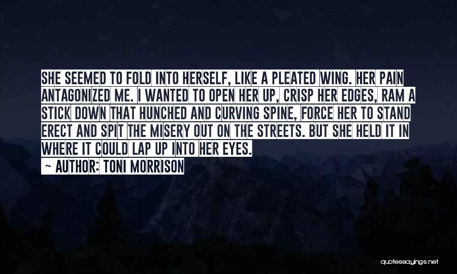 Pain In Her Eyes Quotes By Toni Morrison