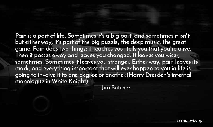 Pain In Life Quotes By Jim Butcher