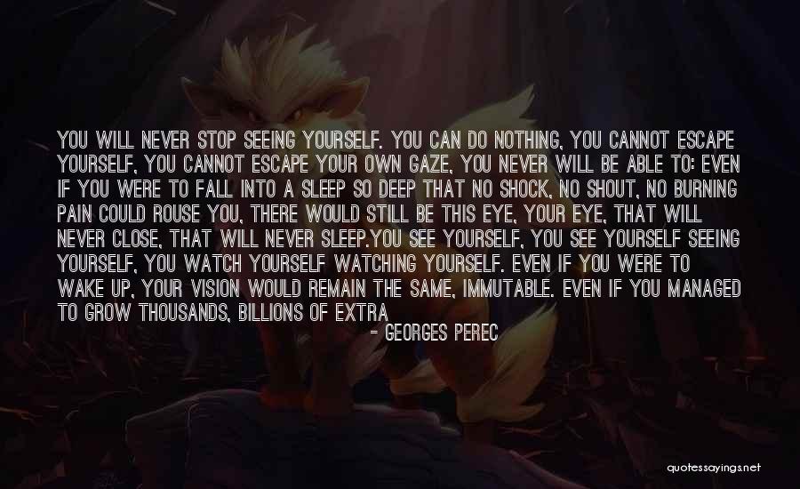Pain In My Eye Quotes By Georges Perec Pain In My Eye Quotes By Georges Perec