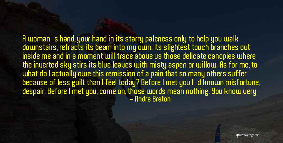 Pain In My Eyes Quotes By Andre Breton Pain In My Eyes Quotes By Andre Breton