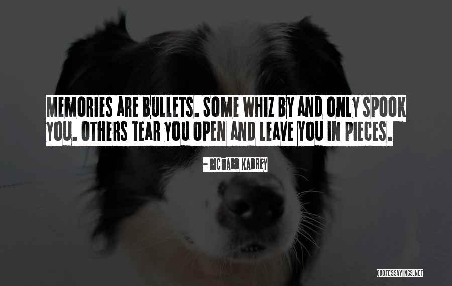 Pain In Others Quotes By Richard Kadrey Pain In Others Quotes By Richard Kadrey