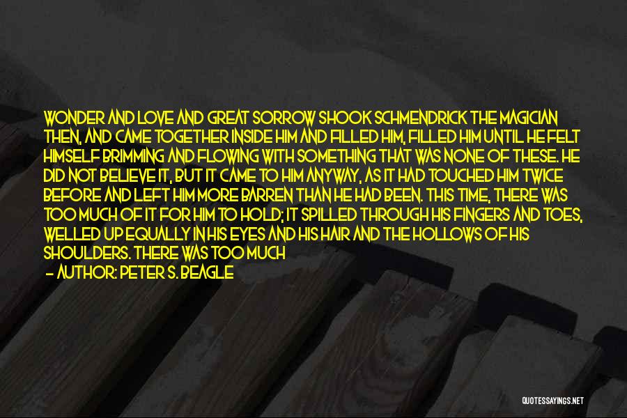Pain In These Eyes Quotes By Peter S. Beagle