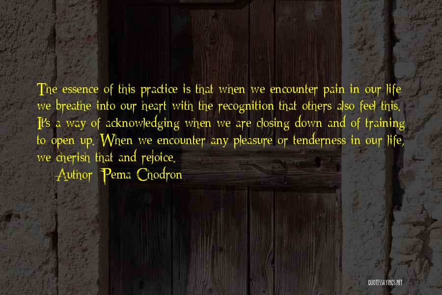 Pain In Training Quotes By Pema Chodron