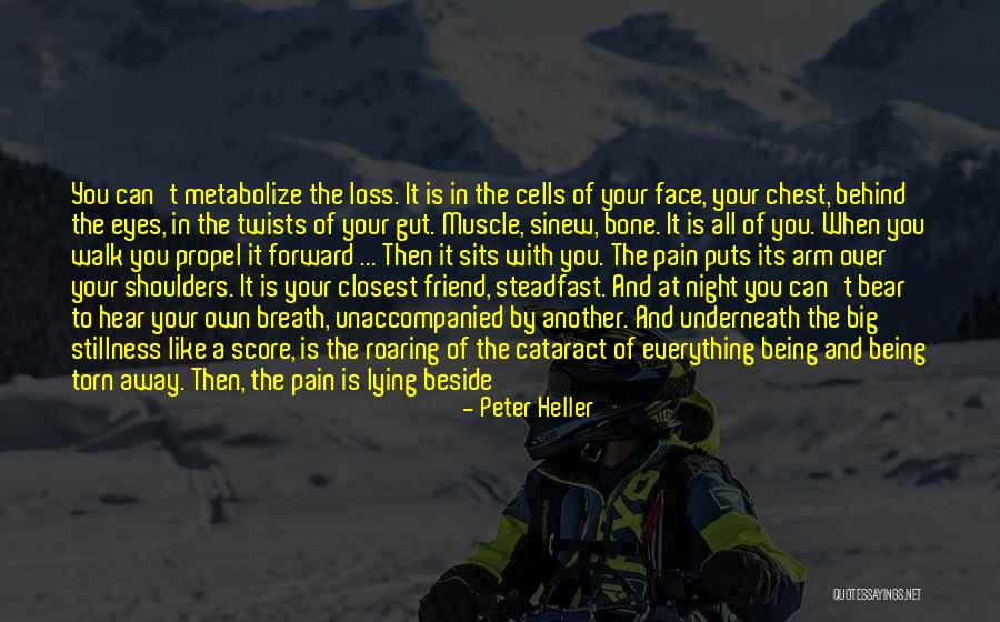 Pain In Your Eyes Quotes By Peter Heller