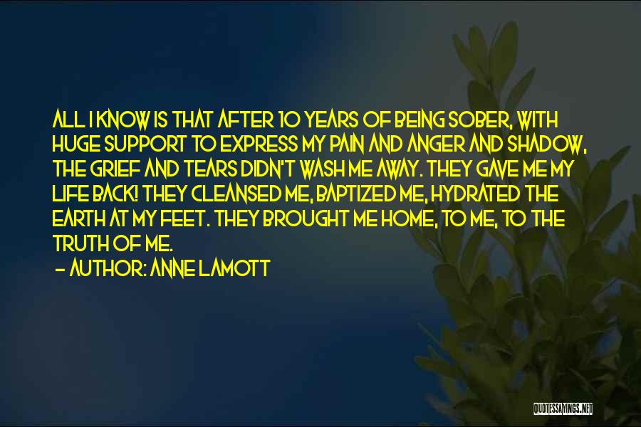 Pain Is All I Know Quotes By Anne Lamott