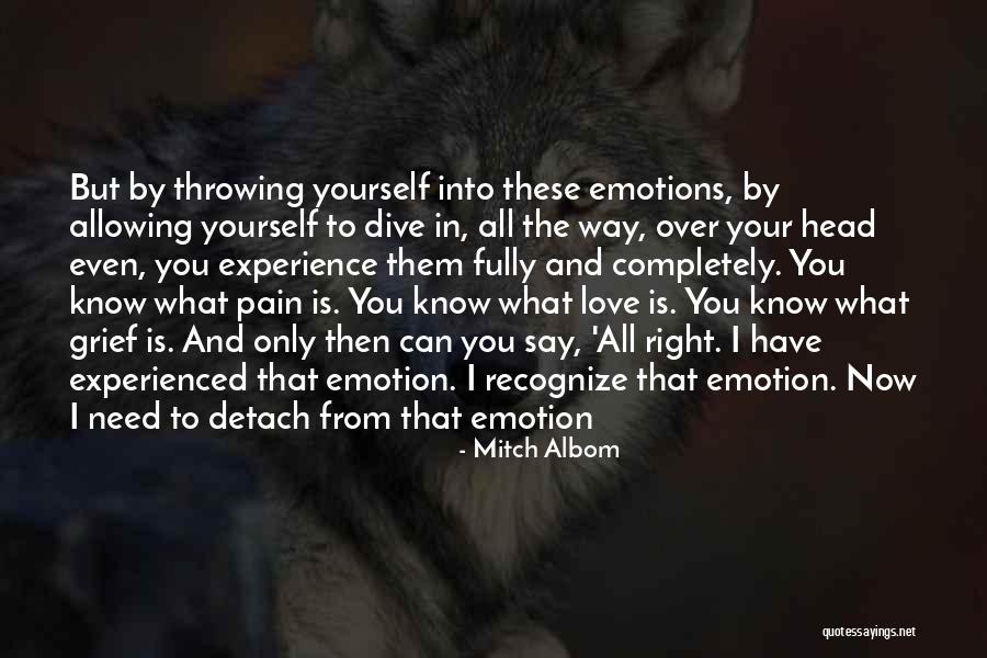 Pain Is All I Know Quotes By Mitch Albom Pain Is All I Know Quotes By Mitch Albom