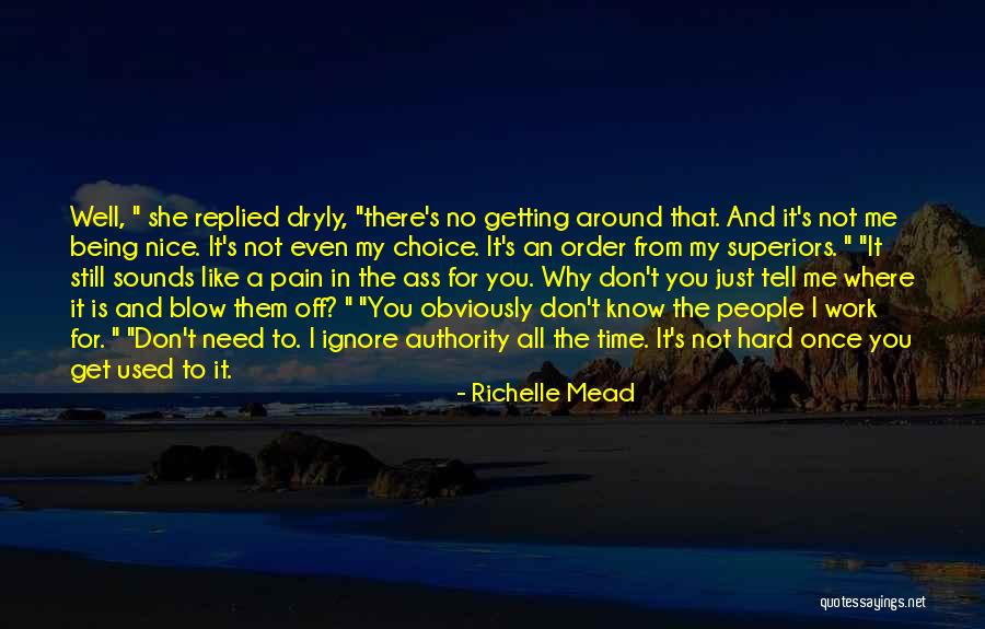 Pain Is All I Know Quotes By Richelle Mead