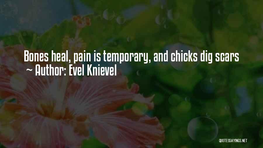 Pain Is Just Temporary Quotes By Evel Knievel