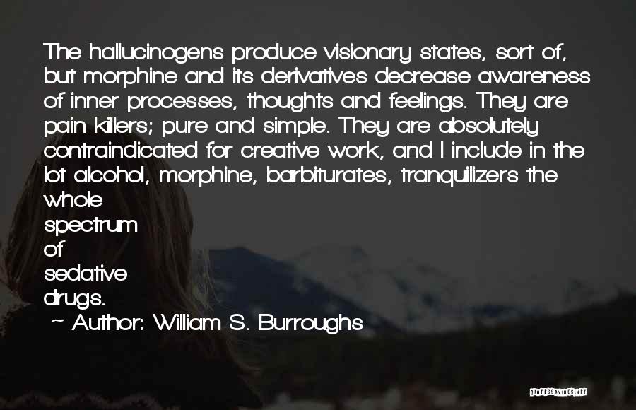 Pain Killers Quotes By William S. Burroughs