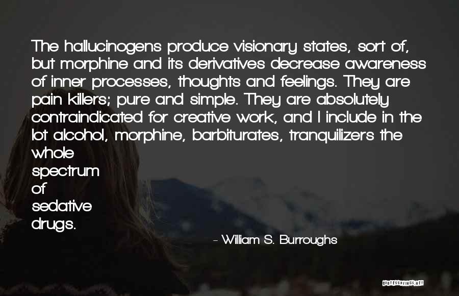 Pain Killers Quotes By William S. Burroughs