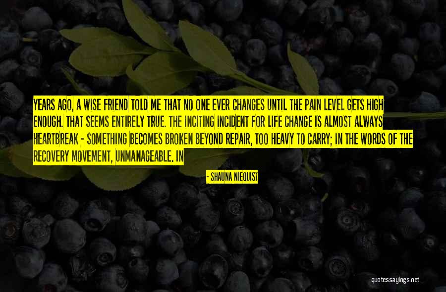 Pain Life Broken Quotes By Shauna Niequist Pain Life Broken Quotes By Shauna Niequist