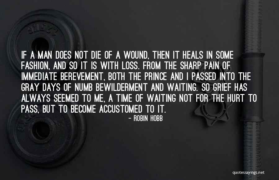 Pain Numb Quotes By Robin Hobb Pain Numb Quotes By Robin Hobb
