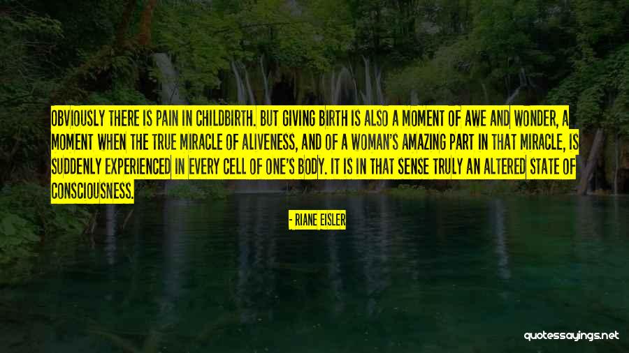 Pain Of Childbirth Quotes By Riane Eisler