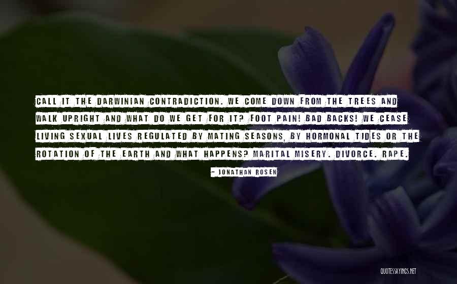 Pain Of Divorce Quotes By Jonathan Rosen Pain Of Divorce Quotes By Jonathan Rosen