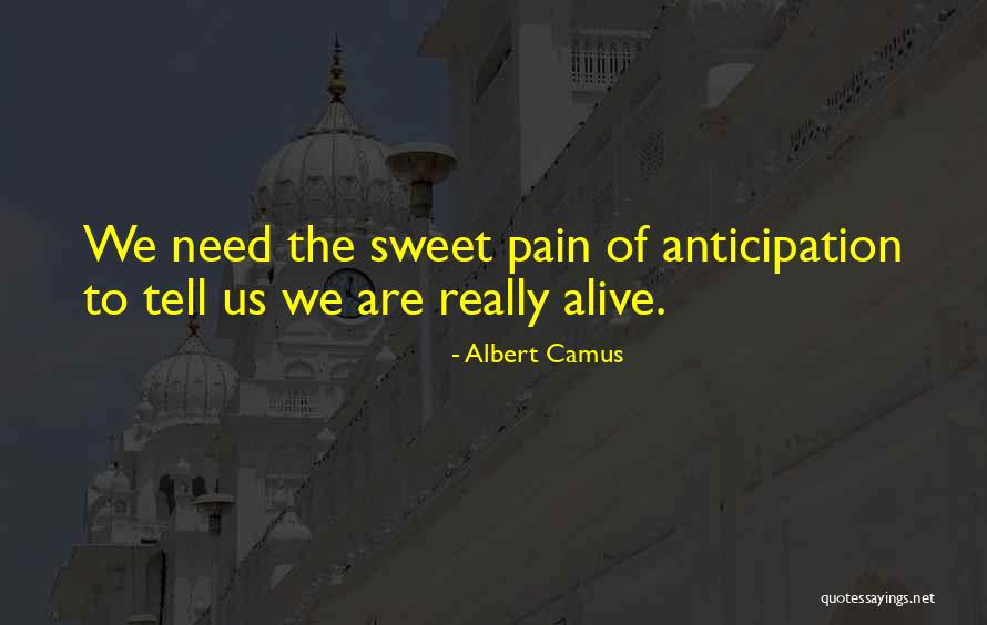 Pain Of True Love Quotes By Albert Camus Pain Of True Love Quotes By Albert Camus