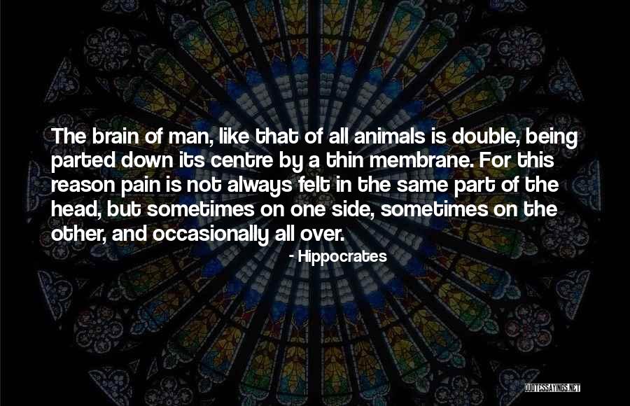 Pain One Side Quotes By Hippocrates Pain One Side Quotes By Hippocrates