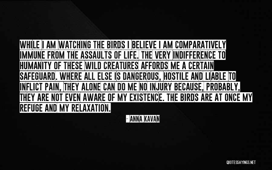 Pain Others Inflict Quotes By Anna Kavan Pain Others Inflict Quotes By Anna Kavan