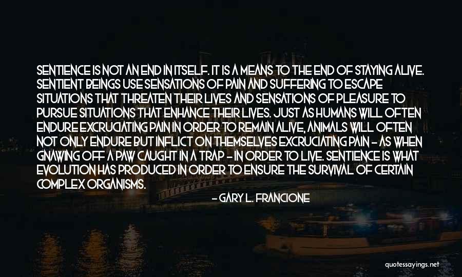 Pain Others Inflict Quotes By Gary L. Francione Pain Others Inflict Quotes By Gary L. Francione