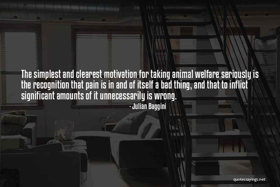 Pain Others Inflict Quotes By Julian Baggini Pain Others Inflict Quotes By Julian Baggini